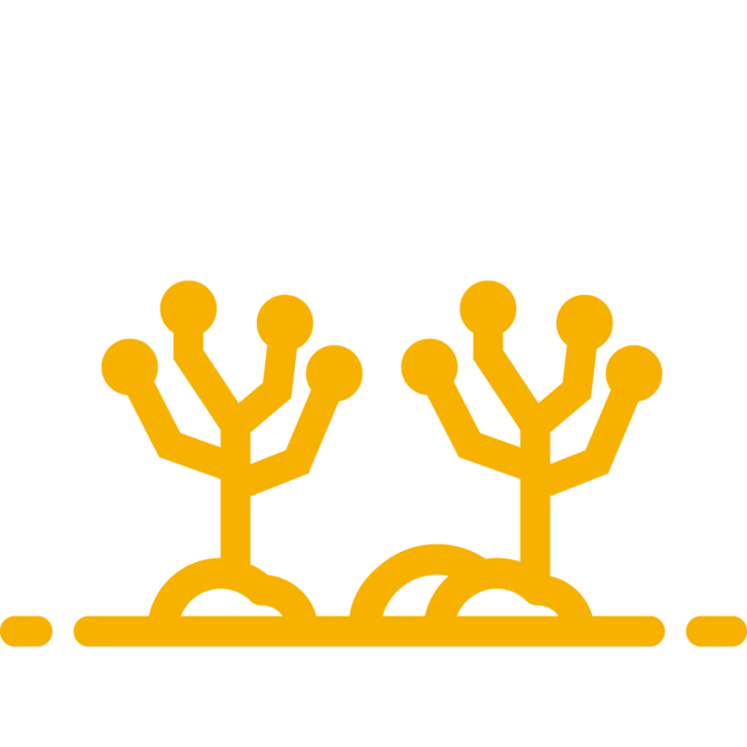 stats icon voor knotbomen onderhouden en 11 geplant 97